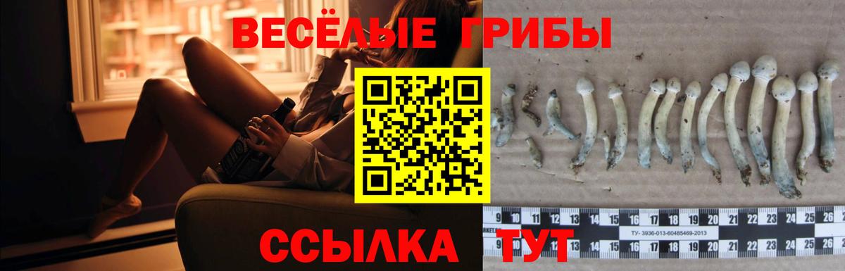 Галлюциногенные грибы прущие грибы  Галлюциногенные грибы GOLDEN TEACHER  как найти закладки  Гусь-Хрустальный  Вход с VPN 
